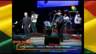 SAVIA NUEVA  Palomas Mario Manque  Chile ¡¡¡En Vivo [upl. by Mcdade]