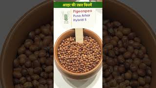 जानिए अरहर की उन्नत किस्मों के बारे में  Pigeonpea Cultivation  Arhar Ki Kheti  shorts [upl. by Tull824]