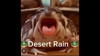 Desert Rain Frog 🐸 LIVE fat frog exoric viral shorts [upl. by Llenehc]