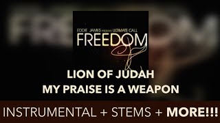 LION OF JUDAH EDDIE JAMES  INSTRUMENTAL [upl. by Yentruok]