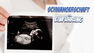 Schwangerschaft Einführung  Krankheitslehre  Pflege Kanal [upl. by Tiler]