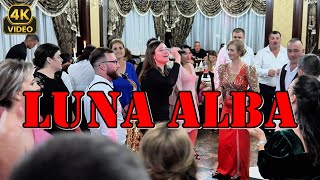 💥Formația Patrick Band ❎ Lună albă ❌ [upl. by Aytnahs]