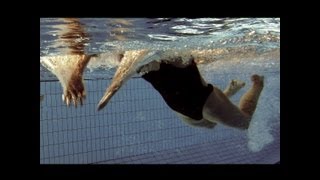 natation technique papillon [upl. by Eisenhart]