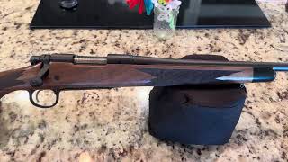 Is Remington BACK The New Remington Model 700 CDL 243 Winchester [upl. by Aivuy]