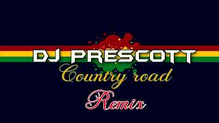 Dj Prescott country roads REMIX [upl. by Anorahs]