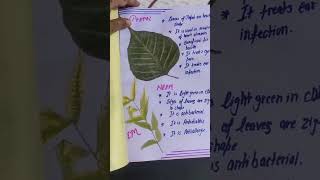 Herbarium File of medical plants3rd class yt short [upl. by Atilahs]