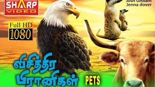 விசித்தர பிராணிகள்ஹாலிவுட் DUBBED MOVIE  சூப்பர் ஹிட் பில்ம்ஸ் HOLLYWOOD HD MOVIE NEW COLLECTION [upl. by Einnhoj]