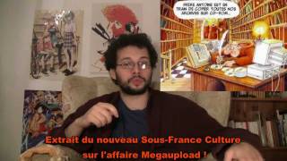 SousFrance Culture  Internet après Megaupload à voir sur VoxMakers [upl. by Renwick823]