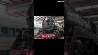 Meet the 38 class locomotives trains viral trending 3801 3830 3820 3813 shorts [upl. by Alveta339]