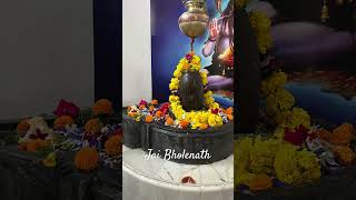 Jai Bholenath bholenath bhole viralshorts [upl. by Enelad]