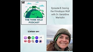 Episode 8  Uncovering the Mysteries of the Himalayan Wolf  Interview with Dr Geraldine Werhahn [upl. by Storfer724]