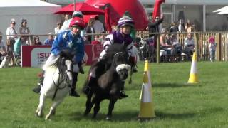 Shetland Pony Grand National [upl. by Millman291]