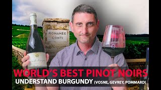 Finest Burgundy Wines  Your Guide to Top Pinot Noirs  VosneRomanée Pommard GevreyChambertin [upl. by Ethban]