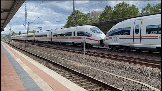 Zugverkehr an der SFS in Siegburg mit Br 146 193 420 423 442 403 406 407 408 und 412 [upl. by Yenrab]