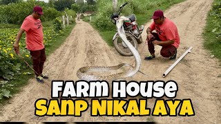 Farm House Per Sanp Nikal Aya  Pakistan Ostrich Farm Brand  Shakeel Bhai [upl. by Eeliram113]