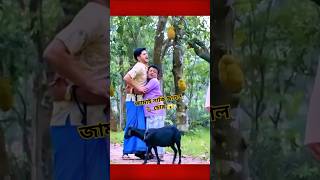 ছাগল চুরি করে কোরবানির হাটে বিক্রি😱shorts drama [upl. by Steinman]