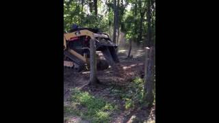 Cat 279c removing stumps actc services [upl. by Ragucci832]